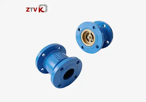 What is the function of a silencing check valve?